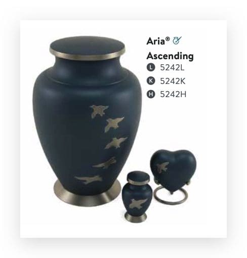 Aria® Ascending Large/Adult
