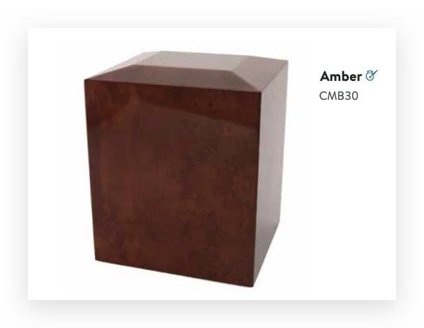 Companion Amber