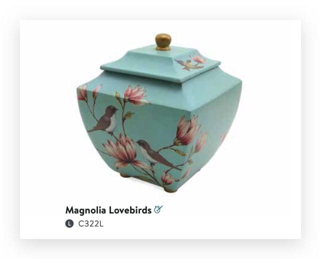 Magnolia Lovebirds Large/Adult