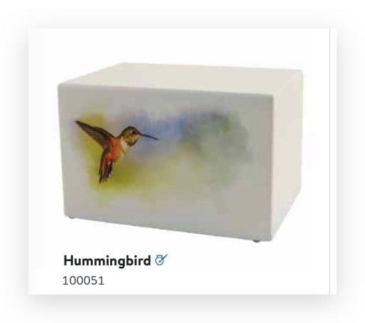 Somerset Hummingbird