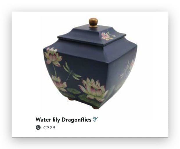 Waterlily Dragonflies Large/Adult